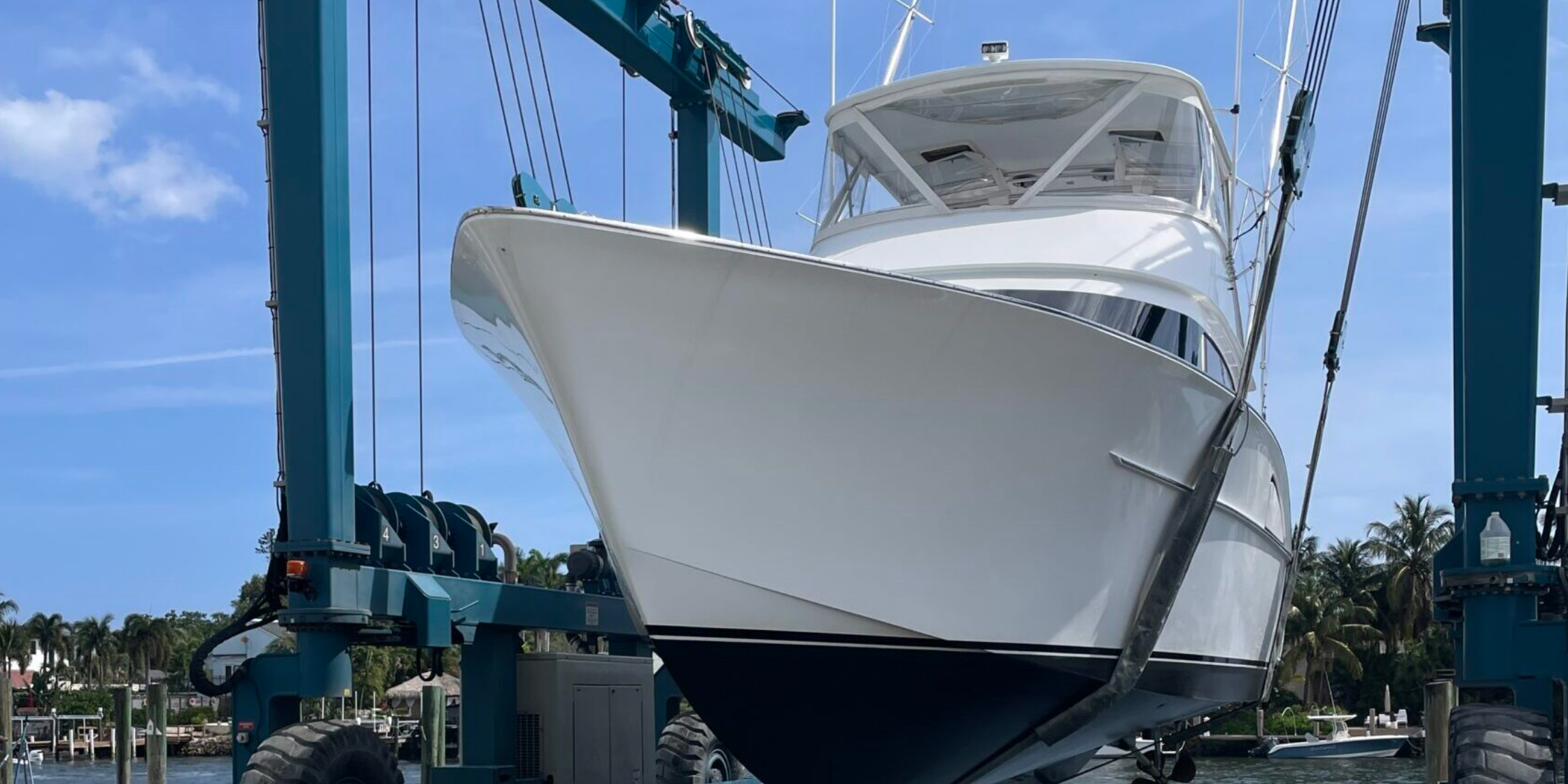 Sportfish in Slings 2240×1260