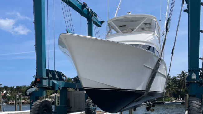 Sportfish in Slings 2240×1260